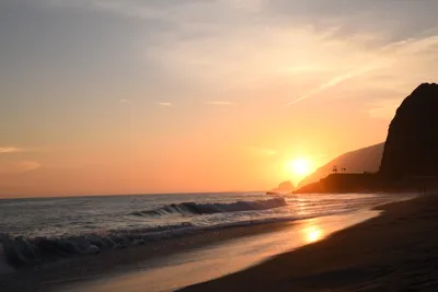 DSC_4141 (Large).JPG